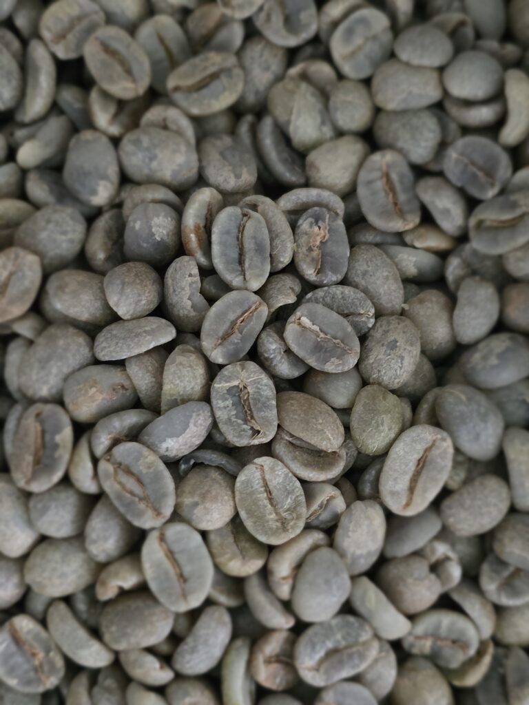 surower ziarna kawy arabica yellow bourbon