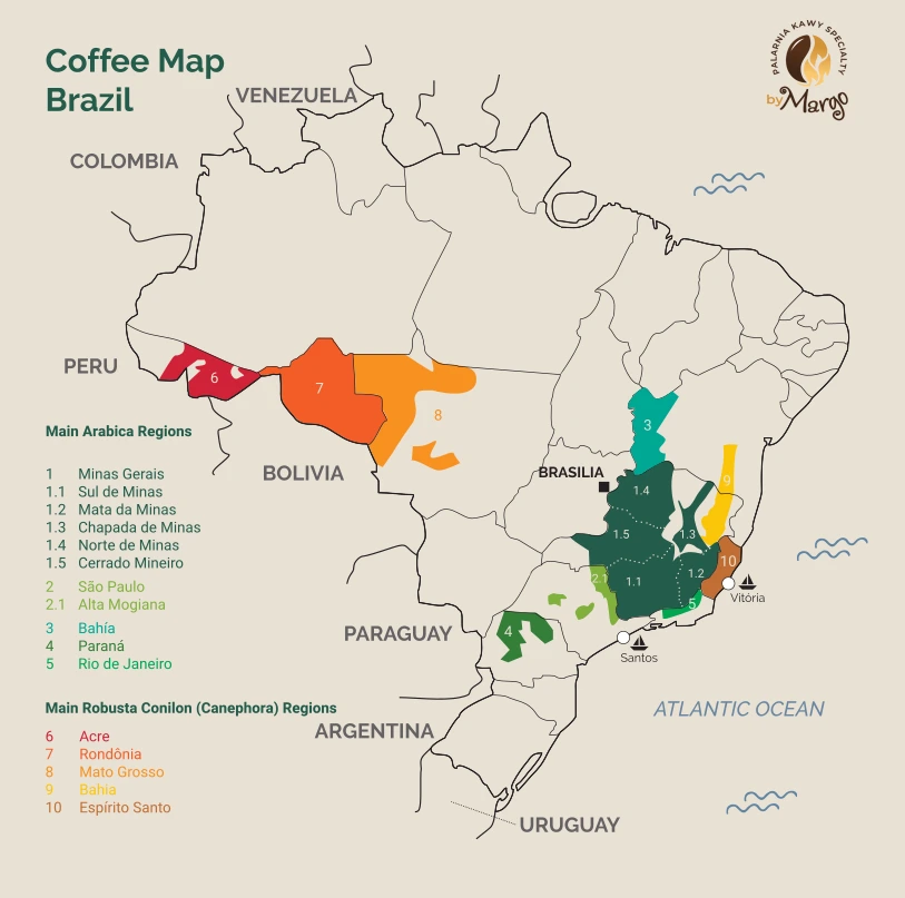 Brazil Christmas Blend 250g - obrazek 3