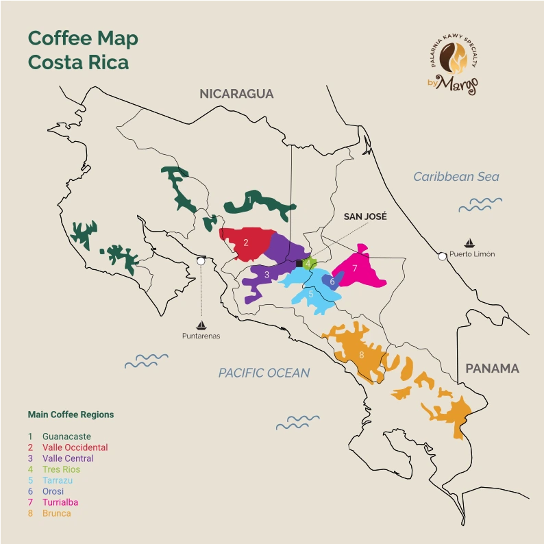 Costa Rica La Pastora Tarrazú - obrazek 3